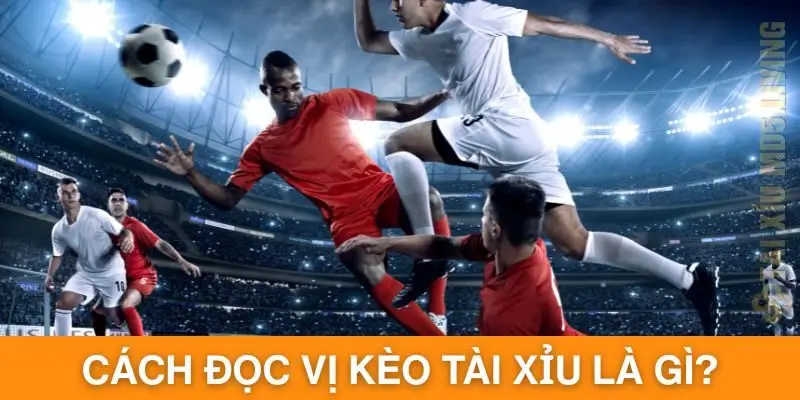 Đọc vị kèo tài xỉu là gì? Đôi nét về kèo tài xỉu trong lĩnh vực cá cược đá bóng