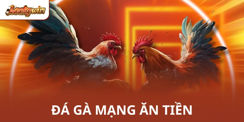 Đá Gà Mạng Ăn Tiền